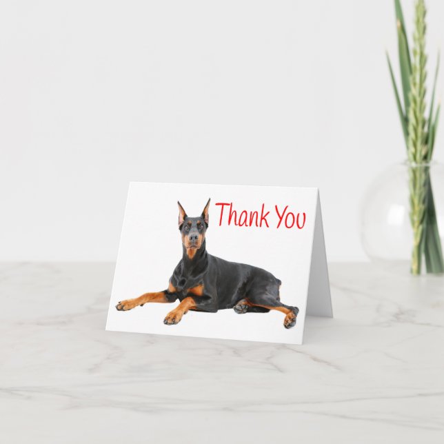 Cartão De Agradecimento Doberman Pinscher Puppy Dog Red Thank You - Blank (Frente)