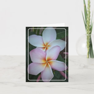 Cartão de Agradecimento Dobra Plumeria Duplo Halo
