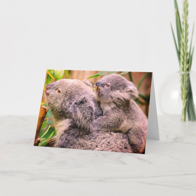 Cartão de Agradecimento Dobrado de Urso Coala Mãe  (Frente)