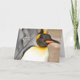 Cartão de Agradecimento DOBRADO PENGUIM