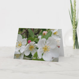 Cartão de Agradecimento Dobrado Surpresa de Flor d