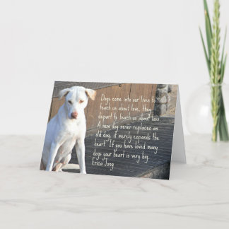Cartão De Agradecimento Dog Quotation Card