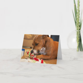 Cartão De Agradecimento Dog Thank You Card