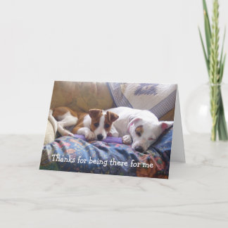 Cartão De Agradecimento Dogs Thanks for being there