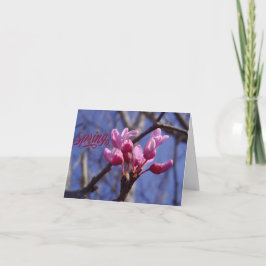 Cartão De Agradecimento Dogwood Blossom Blank Greeting Card