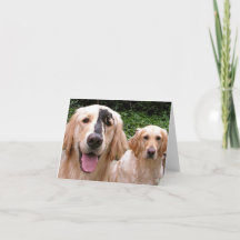 Cartão de agradecimento dos Golden Retrievers Pete