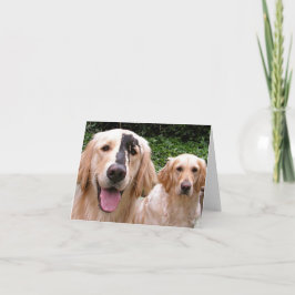 Cartão de agradecimento dos Golden Retrievers Pete