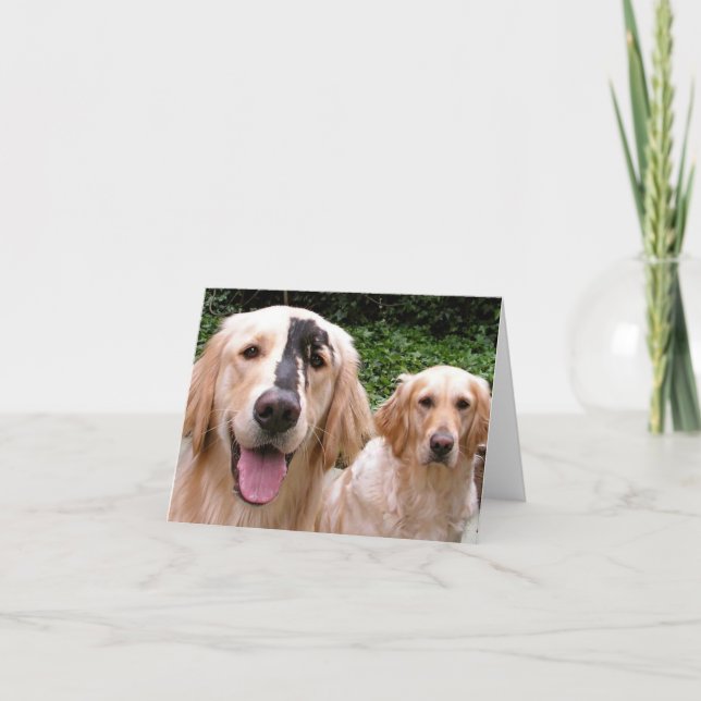 Cartão de agradecimento dos Golden Retrievers Pete (Frente)
