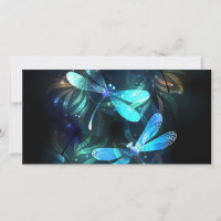Dragonflies de lago