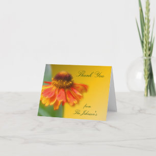 Cartão De Agradecimento Dreamia Zinnia Flower Obrigado