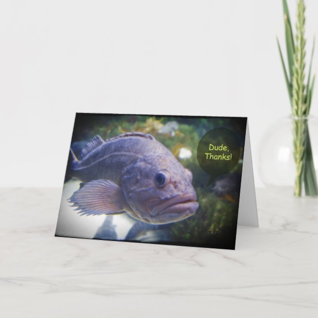 Cartão De Agradecimento Dude Thanks Fish With Black Border Thank You Card (Frente)