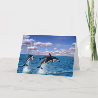 Cartão De Agradecimento Dusky Dolphins at Play