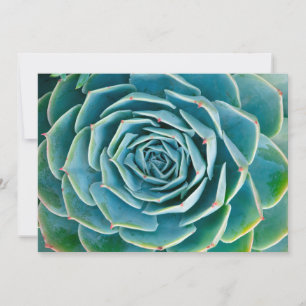 Cartão De Agradecimento Echeveria Roseta, Jardim Secreto de Marrakech