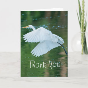 Cartão De Agradecimento Egret Branco do excelente