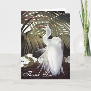 Cartão De Agradecimento Egret "Thank You" card