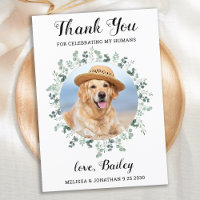 Elegant Eucalyptus Foliage Pet Photo Dog Wedding