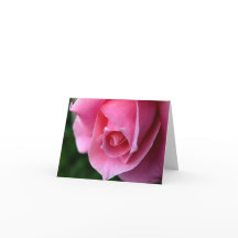 Elegant Pink Rose Note Card