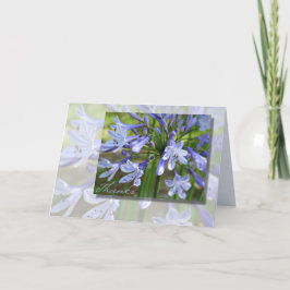 Cartão de Agradecimento Elegante Agapanthus Azul p