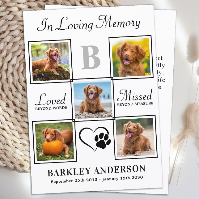 Cartão De Agradecimento Elegante Pet Memorial 5 Colagem Personalizada de F (Criador carregado)