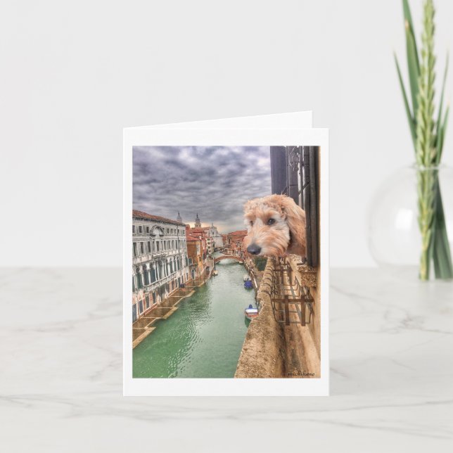 Cartão De Agradecimento Ella Bella Banana checks the view of Venice canal (Frente)