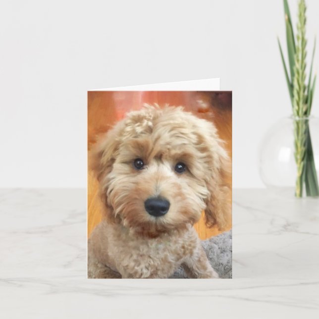 Cartão De Agradecimento Ella Bella Banana fechadura (Frente)