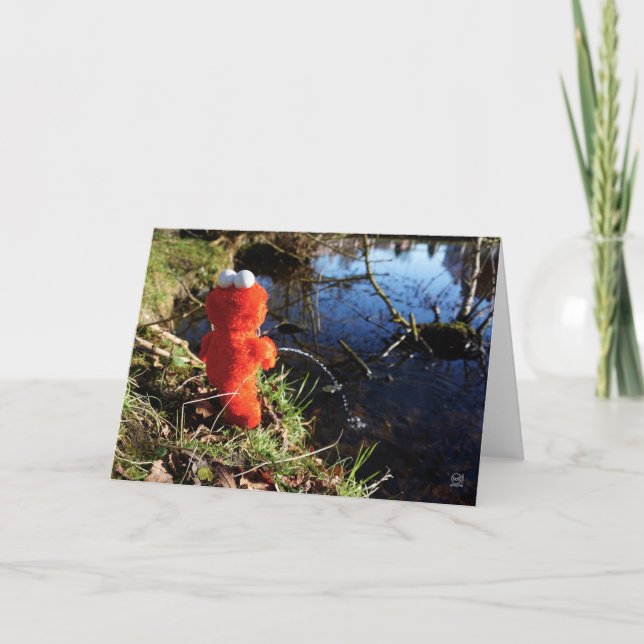 Cartão De Agradecimento Elmo Plassend aan de waterrand. (Frente)