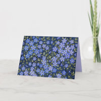 Encantadoras Flores de Vinca Dispersas Azul Profun