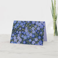 Encantadoras Flores de Vinca Espalhadas Azul Profu