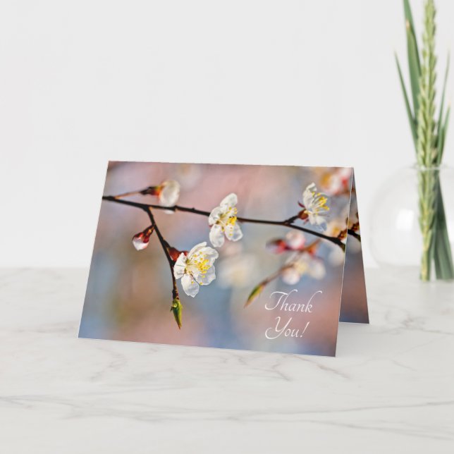 Cartão De Agradecimento Encantando Flores Apricot Japonesas (Frente)