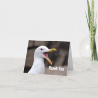 ENGRAY Seagull