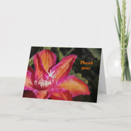 Cartão De Agradecimento Epiphyllum Thank You Card