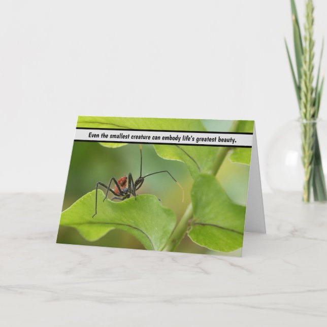 Cartão De Agradecimento "Equilíbrio Delicado da Natureza - Insetos à Folha (Frente)