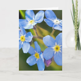 Cartão De Agradecimento Esquece-me, não floresce obrigado romântico