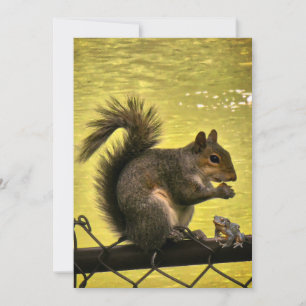 Cartão De Agradecimento Esquilo cinzento oriental (Sciurus carolinensis)
