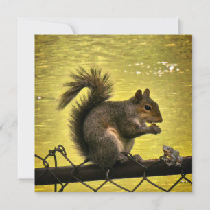 Cartão De Agradecimento Esquilo cinzento oriental (Sciurus carolinensis)