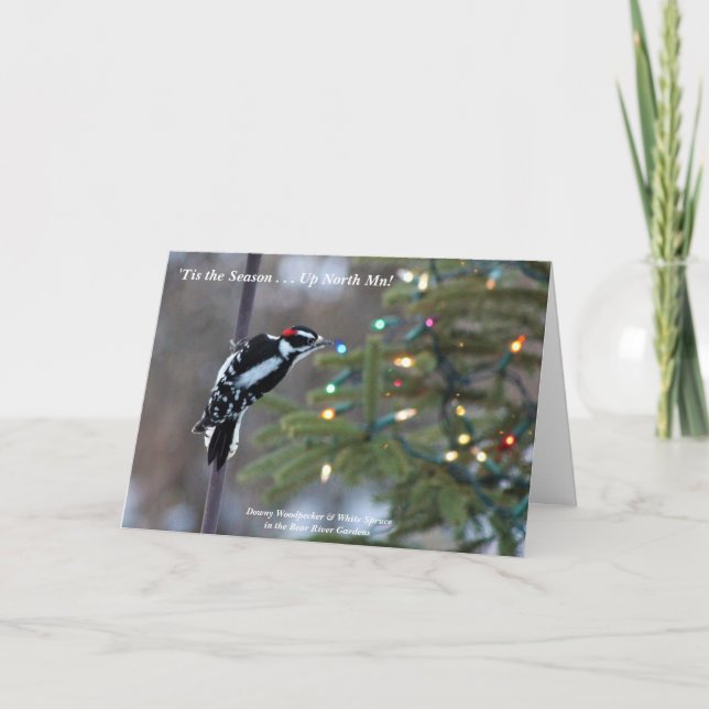 Cartão De Agradecimento Esta é a estação acima do norte! Feliz Natal (Frente)