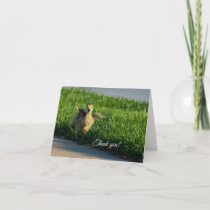 Cartão De Agradecimento Estou chegando Pai Obrigado