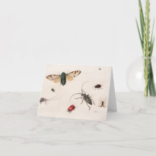 Cartão De Agradecimento Estudos de Insetos por Johannes Bronckhorst
