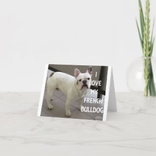 Cartão De Agradecimento Eu Amo Meu Buldogue Francês