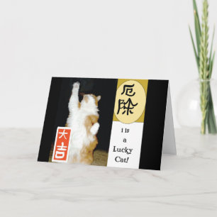 Cartão De Agradecimento Eu sou um Gato Sortudo, Obrigado