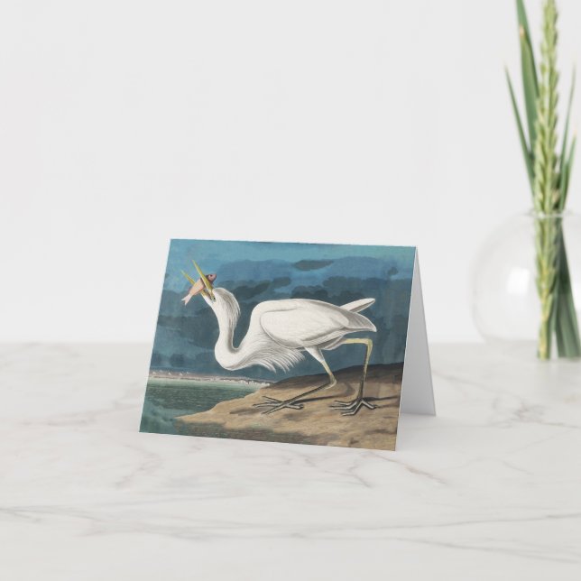 Cartão De Agradecimento Excelente White Heron Audubon Bird Willife Paintin (Frente)