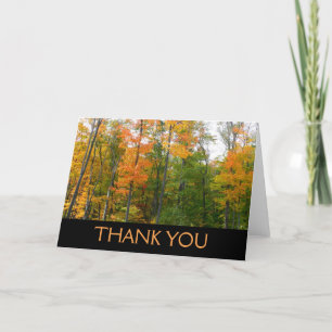 Cartão De Agradecimento Fall Maple Trees Autumn Nature Fotografia