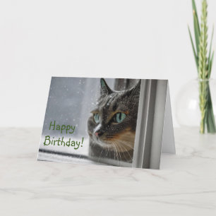 Cartão De Agradecimento Feliz Aniversário Gatinho