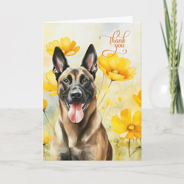 Cartão De Agradecimento Felizes Ouros de Cães Malinois (Frente)