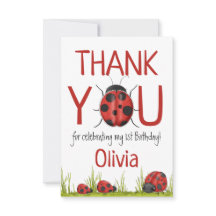 Festa de primeiro aniversario Girly Ladybug