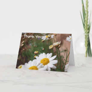 Cartão De Agradecimento Field of Daisies Wedding Thank You Card