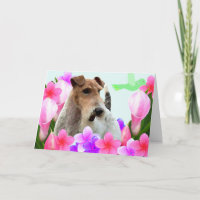 Fios Fox Terrier e Flores