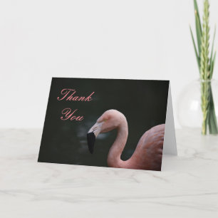 Cartão De Agradecimento Flamingo Rosa