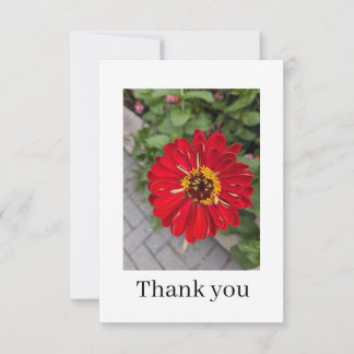 Cartão De Agradecimento Flat Thank You Card