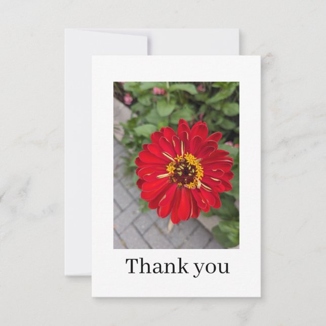 Cartão De Agradecimento Flat Thank You Card (Frente)